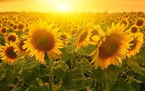 勇于擔當，踐行使命