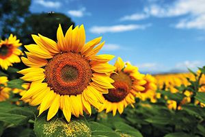 時光不改，心意不變，愿與“艾”同在