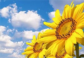 不憂過去，不懼未來