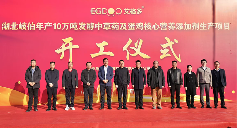 全國布局、賦能南方蛋雞產(chǎn)業(yè)高質(zhì)量發(fā)展——艾格多集團湖北荊州基地項目正式開工